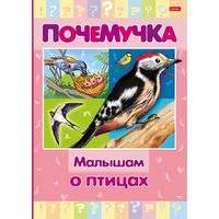 купить Книжка 16л А5ф цв. блок тв.переплет Почемучка -Малышам о птицах-